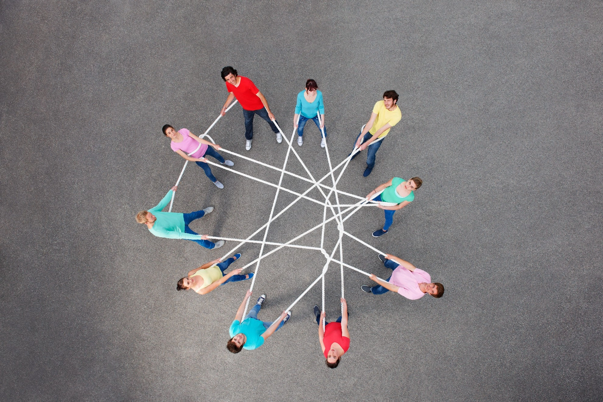 Bildung Netz Team