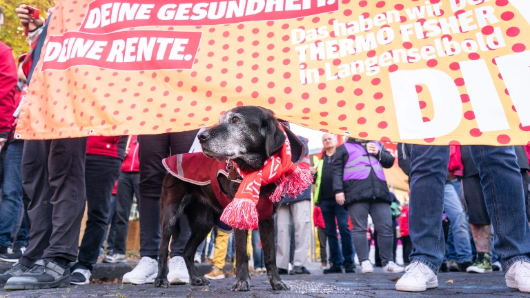 Tarifverhandlungen 2. Runde Bezirk Mitte in Hanau am 28.10.2026.